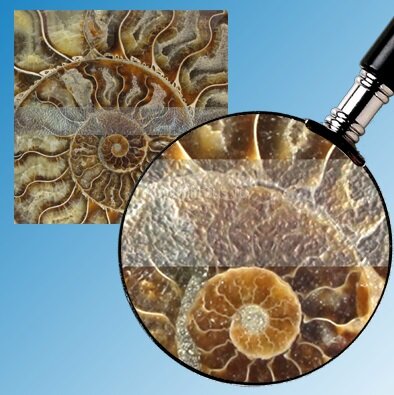 Заказать Лента виниловая водоотталкивающая самоклеящаяся Antislip System 25 мм Прозрачная ролик 18,3 м Заказать Лента виниловая водоотталкивающая самоклеящаяся Antislip System 25 мм Прозрачная ролик 18,3 м