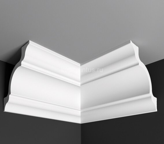 Заказать Угол внутренний к плинтусу Де-Багет П 01 95/95 (8*4) белый 