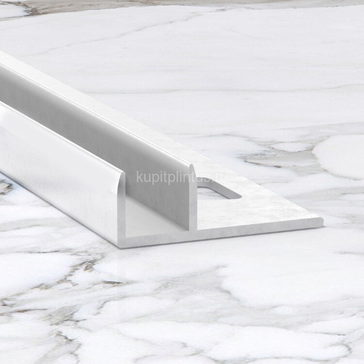 Заказать Алюминиевый П-профиль для стекла 10х10 мм ПО-211-02 серебро матовое 2.7 м Заказать Алюминиевый П-профиль для стекла 10х10 мм ПО-211-02 серебро матовое 2.7 м