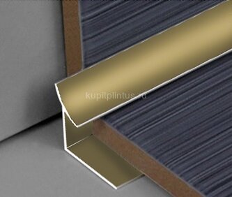 Заказать Профиль для плитки внутренний алюминий 10 мм PV28-09 шампань блестящая 2,7 м Заказать Профиль для плитки внутренний алюминий 10 мм PV28-09 шампань блестящая 2,7 м