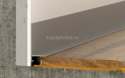 Заказать Алюминиевый микроплинтус щелевой ПО-190 серебро матовое 2,7 м Заказать Алюминиевый микроплинтус щелевой ПО-190 серебро матовое 2,7 м