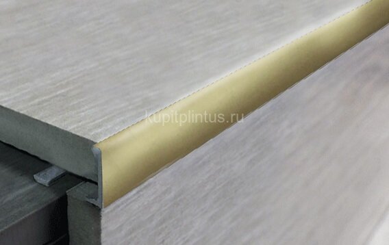 Заказать Алюминиевый профиль L-образный 8 мм PV01-09 Шампань блестящая 2,7 м 