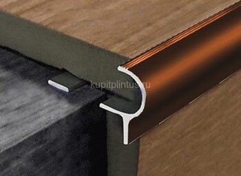 Заказать Алюминиевый F-профиль для ступеней 10 мм с рифлением PV50-11 коричневый блестящий 2,7 м Заказать Алюминиевый F-профиль для ступеней 10 мм с рифлением PV50-11 коричневый блестящий 2,7 м