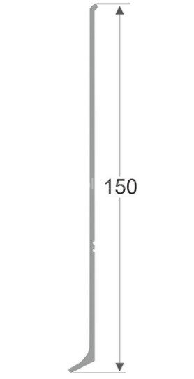 Заказать Заглушка металлическая (пара) для плинтуса ПЛ-150 Серебро матовое Заказать Заглушка металлическая (пара) для плинтуса ПЛ-150 Серебро матовое