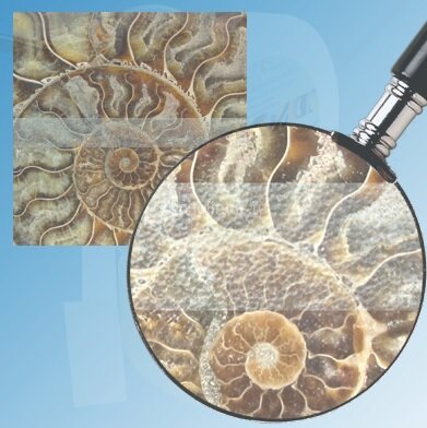 Заказать Лента абразивная цветная противоскользящая самоклеящаяся Antislip Systems 50 мм крупная зернистость Прозрачная ролик 18,3 м Заказать Лента абразивная цветная противоскользящая самоклеящаяся Antislip Systems 50 мм крупная зернистость Прозрачная ролик 18,3 м