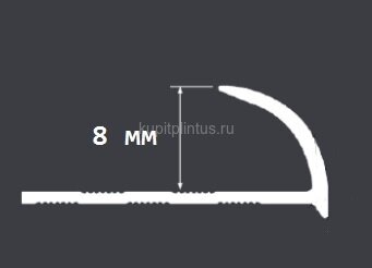 Заказать Гибкий C-образный профиль для плитки 8 мм PV19-17 титан блестящий 2,7 м Заказать Гибкий C-образный профиль для плитки 8 мм PV19-17 титан блестящий 2,7 м
