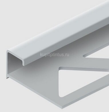 Заказать Алюминиевый профиль окантовочный П-образный 10 мм PV54-00 натуральный 2,7 м Заказать Алюминиевый профиль окантовочный П-образный 10 мм PV54-00 натуральный 2,7 м
