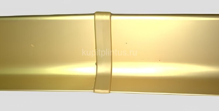 Заказать Комплект соединений (2 шт.) для напольного плинтуса Effector Q63 золото 