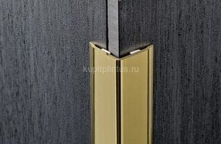 Заказать Уголок внешний из латуни Progress PEGOL 10А 10х10 латунь полированная 2,7 м 