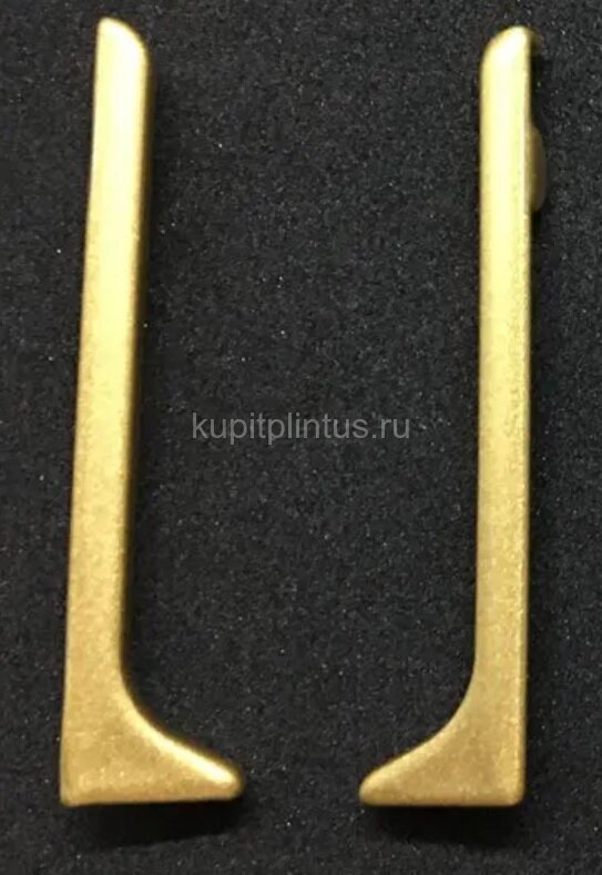 Заказать Заглушки для плинтуса Евротрим L-100 алюминий комплект золото Заказать Заглушки для плинтуса Евротрим L-100 алюминий комплект золото