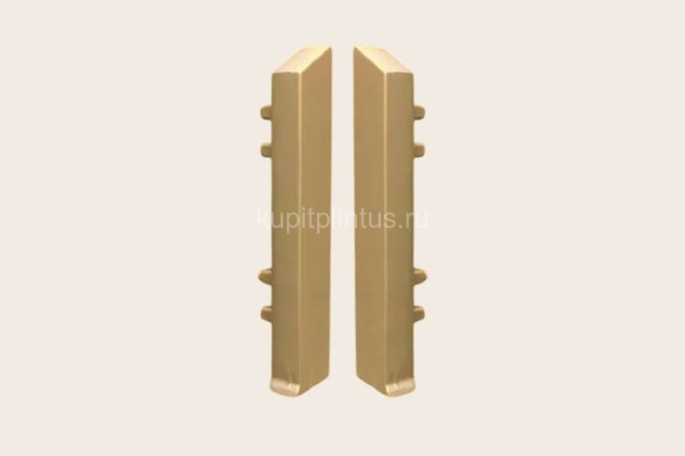 Заказать Заглушки ПВХ для плинтуса Евротрим F-70 2158.00 (левая+правая) кмп золото 