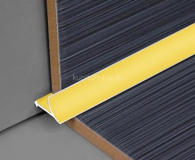 Заказать Профиль для плитки внутренний универсальный алюминий 10 мм PV30-04 золото матовое 2,7 м 