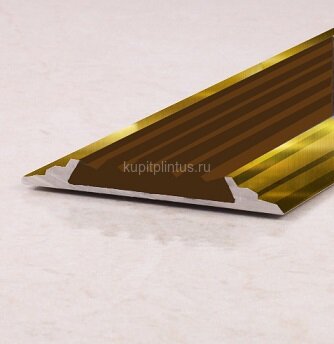 Заказать Порог одноуровневый с резиновой вставкой ПО-46 золото глянец - коричневый 2,7 м Заказать Порог одноуровневый с резиновой вставкой ПО-46 золото глянец - коричневый 2,7 м